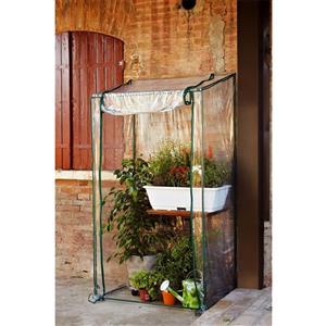 Verdemax Serra buganvillea