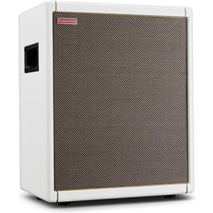 Positive Grid Spark CAB Cassa Attiva per Amplificatore di Chitarra, per Amplificatori della Serie Spark, Strumenti Multipli, Modellatori e Altro - Perla