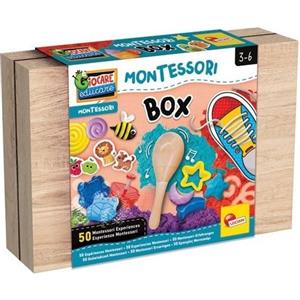 Lisciani Giochi - Montessori Work-box con 50 esperienze sensoriali in scatola di legno