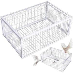 Dongdaping Gabbia per piccioni con due ingressi unidirezionali, gabbia per uccelli 40,6 x 30,5 x 25,4 cm con gabbia per piccioni lucernario