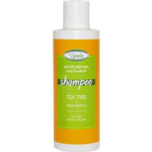 VIVIDUS Srl Tea Tree Shampoo Antiforfora 200ml - Pulisce il cuoio capelluto e contrasta la forfora con Tea Tree e Salice Bianco