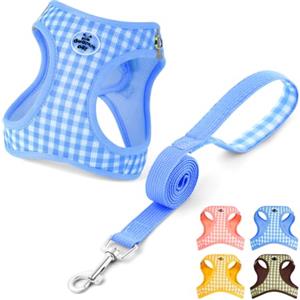 OFFCUP Pettorina per Cani Gatti con Guinzaglio Set Traspirante Imbracatura in Air Mesh per Cani Piccoli Pettorina Step-in Regolabile Riflettente Morbida Imbottito Anti-Strappo, Blu, S
