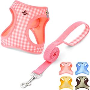 OFFCUP Pettorina per Cani Gatti con Guinzaglio Set Traspirante Imbracatura in Air Mesh per Cani Piccoli Pettorina Step-in Regolabile Riflettente Morbida Imbottito Anti-Strappo, Rosa, S