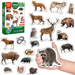 Magdum Magneti da frigorifero per bambini 20 magneti Animali della foresta | Grandi animali magnetici realistici per lavagna bianca - Giocattoli educativi Montessori per aula e casa - Regalo per bambini
