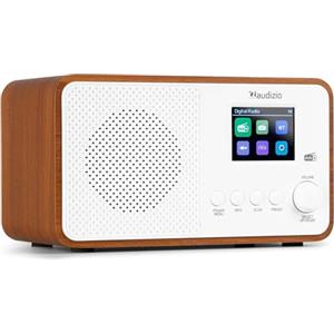 Audizio Avio Radio Dab+ Bluetooth, USB, Timer e Orologio, Display TFT da 2,4, Radio digitale per casa, cucina e camera da letto, potenza da 30 W, ingresso aux, design compatto ed elegante. Colore