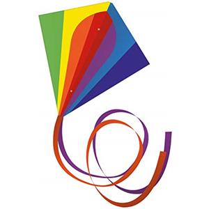 GÜNTHER FLUGSPIELE Gunther 1119 - Aquilone Monofilo Classic