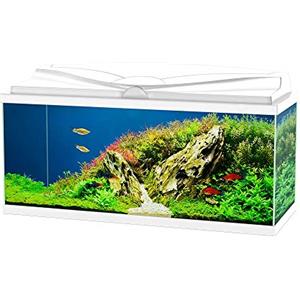 Ciano Aquarium Acquario Aqua 80 Bianco Completo 71lt 80x30xh41,5cm