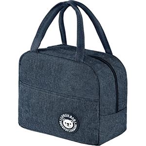 Jewan Piccola Borsa Termica 6L Frigo Porta Pranzo, Borsa per Ufficio, per Escursionismo, Picnic All'aperto, Barbecue (Blu Navy)
