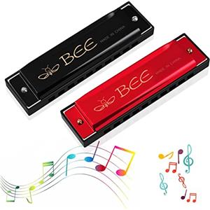 TaimeiMao 2 Pezzi Armonica a Bocca Bambini,Blues Harmonic 10 Fori,Armonica Diatonica in do per Principianti,Può Essere Utilizzata Come Regali Di Compleanno,Regali Scolastici,Souvenir Per Le Vacanze
