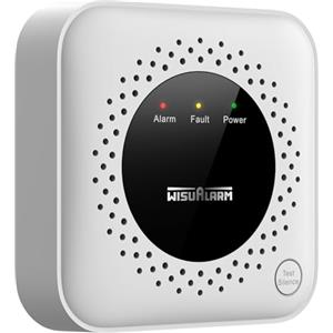 WISUALARM Rilevatore di Gas, GPL, Monitor di Gas Propano, Sensore Gas GPL con Allarme Acustico, Adatto per Cucina, con Spina UE, DETECTOR PROPANE LPG
