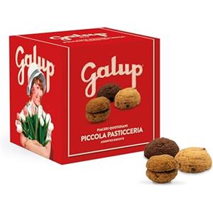 GALUP BISCOTTINI ASSORTITI - 200g NOVITA'
