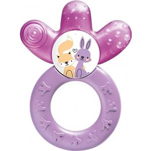 MAM Cooler Femmina Singolo - Dentaruolo per Bambine 4 Mesi, Rinfrescante e Senza BPA