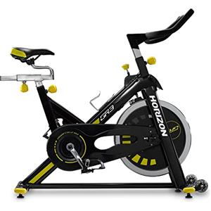 Horizon Fitness Cyclette GR3 - Indoor Spin Bike (Console Opzionale) - 124 x 49 x 116 cm