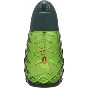 Pino Silvestre Classico Eau de Toilette Uomo 125 ml - Fragranza Legnosa e Aromatica con Note di Bergamotto e Pino