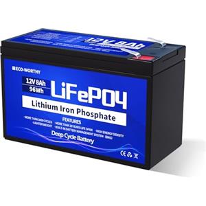 ECO-WORTHY - Batteria al litio LiFePO4, 12 V, 8 Ah, ricaricabile a 15000 cicli profondi e protezione BMS, per campeggio, impianto solare, camper, ecoscandaglio, barca, passeggino, pannello solare
