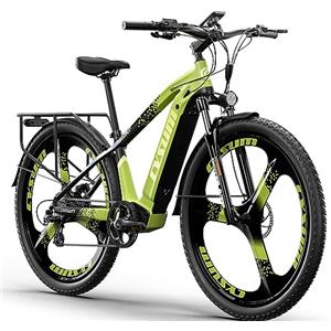 cysum Speedy Bicicletta elettrica, E-mountain bike da 29'' per uomo adulto, Bicicletta elettrica con batteria rimovibile 48v 14ah, autonomia 80km,75Nm, 25km/h (29'' verde)