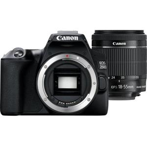 Canon EOS 250D + EF-S 18-55mm f/3.5-5.6 DC III NERA