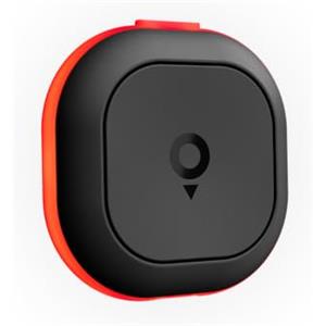 TomTom Segnalatore Autovelox per Auto - Fissi e Mobili | Senza Abbonamento