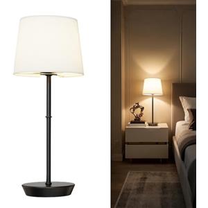 Yinglap Lampada da comodino camera da letto senza fili, Lampada da tavolo RGB touch ricaricabile, magnetiche dimmerabili e telecomando, abat jour da comodino per soggiorno, ristorante (Nero)