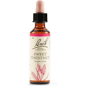 SCHWABE PHARMA ITALIA Srl Bach - 30 Sweet Chest - 20 ml