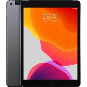 Apple iPad 7 10,2 2019, Wi-Fi + 4G, 32 GB, Space Gray MW6A2TY/A (C)