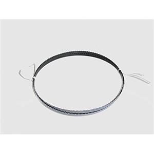 Werkzeug Prüver 1x lama per sega a nastro, 1575 x 6 x 0,65 mm, 6 ZPZ, Holz Interkrenn Lematec