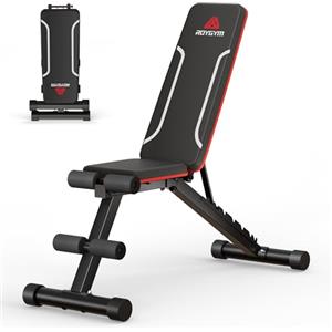 Roygym Panca Palestra Pieghevole, Panca Piana con schienale regolabile in 9 posizioni, Panca pieghevole multifunzione per allenamento, fitness, panca inclinata, carico 300 kg