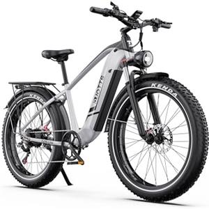 DUOTTS F26 Lite Bici Elettrica per Uomo Donna, MTB Elettrica 26 x 4,0 Pollici, Bike Elettrica 250W con Batteria 48V 18Ah Autonomia fino a 140 km, Doppio Freno Idraulico, 7 Marce e Doppia Sospensione