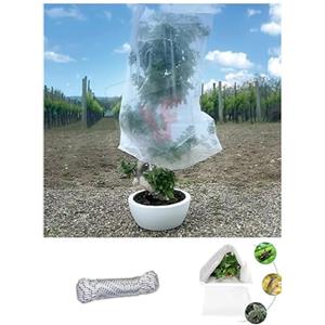 PINTO FERRAMENTA E-COMMERCE Pinto FERRAMENTA Telo Copri Piante Antigelo Invernale per Limoni Protettivo in TNT per Serra Orto e Balcone Contro Il Freddo Esterno per Fiori Ortaggi con 10mt Corda Omaggio (60X80 PZ6)