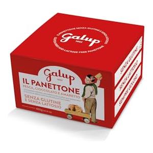 GALUP PANETTONE PESCA, CIOCCOLATO E AMARETTO SENZA GLUTINE E SENZA LATTOSIO 400g