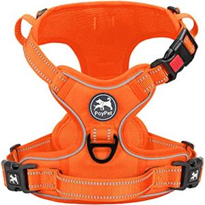 PoyPet - Pettorina anti-trazione riflettente per cani senza choke, regolabile, morbido e imbottito, con manico Easy Control per cani di piccola e grande taglia (arancione, XL)