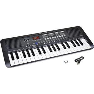 Farfisa | Tastiera Elettronica Professionale MIDI a 37 Tasti con Funzione Touch, con Presa USB-C e Uscita per Cuffie, 49x18,5x5,5cm