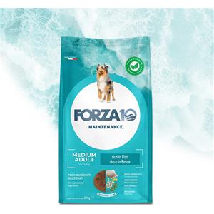 Forza 10 Maintenance Cane Secco Medium Adult al Pesce - 12 kg, Cibo Completo e Bilanciato per Cani Adulti di Taglia Media