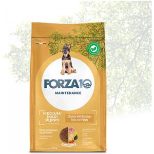 Forza 10 Maintenance Puppy Medium/Maxi con Pollo e Patate - Alimento Completo per Cuccioli e Cagne in Gravidanza - 12 Kg