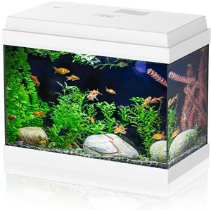Aqpet Simply LED 30 Acquario Completo Con Illuminazione Led, Filtro E Cover Apribile Colore Bianco 30L