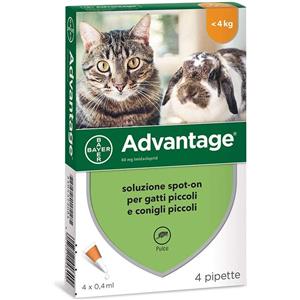 ELANCO Bayer Advantage 40 mg Per Gatto fino a 4 kg 4 Pipette Antiparassitario