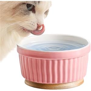 LearnLyrics Ciotola Termica Per Animali Domestici All'aperto - Per Acqua Riscaldata Per Cani, La Ciotola Isolata Mantiene L'acqua Potabile | Mangiatoia Per Acqua Per Gatti Riscaldata, Ciotola Per Cibo A Te