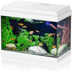 AQPET Acquario in Vetro per Pesci Tropicali Completo di Accessori Filtro Luce Simply, 30 39x22x30 cm 30 Litri, Bianco