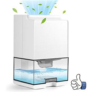Carastek Deumidificatore Casa 1000ML,Deumidificatore Portatile e Ultra Silenzioso Contro Muffa e L'umidità Spegnimento Automatico e Luce LED Colorata per Camera da Letto Bagno Sbrinamento Automatico