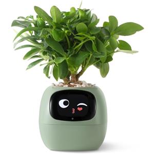 PLANTSIO Vaso da Fiori Intelligente con Display LCD - Fioriera Decorativa per Casa, Compagno Ideale per Piante su Scrivania, Regalo Originali, Adatta anche con Animali Domestici (Verde)