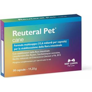 N.B.F. LANES SRL Probiotici per Cani Integratore Alta Concentrazione Salute Digestiva 30 Capsule - NBF Lanes