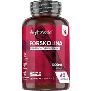 WeightWorld Forskolina Vegana da 1000mg per Dose Giornaliera, con Estratto 28,58mg (35:1) di Polvere Coleus Forskohlii Integratore con 60 Capsule Uomo e Donna, Formulato Senza Magnesio Stearato e Privo di OGM