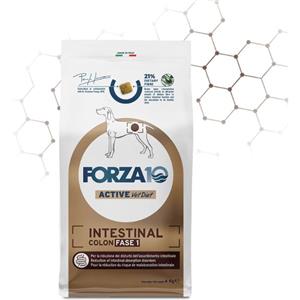 Forza10 Intestinal Colon Fase 1 - Alimento Secco Dietetico Completo per Cani Adulti, 4 kg