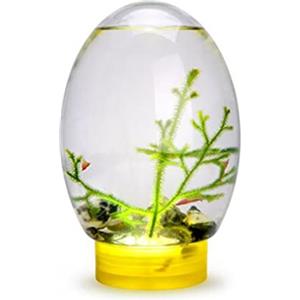 Obelunrp Mini Acquario Ecosistema acquatico chiuso Ecosistema chiuso con base gialla stabile desktop a LED, non è necessario nutrire o cambiare acqua, della biosfera
