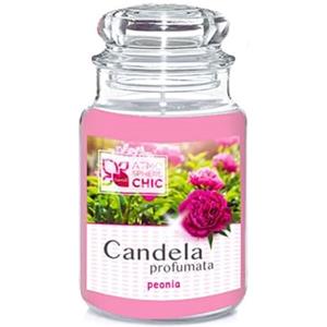 Atmosphere Chic, Candela Profumata Giara Grande 510gr, Peonia, Stoppino naturale, durata fino 150 ore