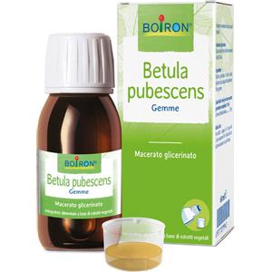 Boiron Betula Pubescens Gemme Macerato Glicerico, 60ml