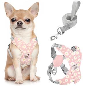 Pawaboo Set di pettorina e guinzaglio per cani di piccola taglia, con struttura a X, anti-strappo, anti-soffocamento, regolabile, per cani di taglia piccola e media, morbida e traspirante, per
