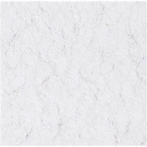 Rasch Carta da parati 868012 - Carta da parati in carta chiara con effetto intonaco e struttura in gesso, colore bianco con marmorizzazione fine, 10,05 m x 0,53 m (lunghezza x larghezza)