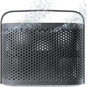 AbsoDry Duo Family - Deumidificatore casa muffa - più qualità dell'aria - Deumidificatore portatile anti muffa - Assorbi umidità armadio e bano - 40 m² - Grigio