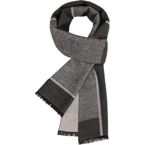 PASUDA Sciarpa Uomo Inverno, Sciarpa Calda di Llaid di Autunno e Invernale Sciarpa Elegante Classica da Uomo Sciarpe Termica e Morbido Foulard d'Affari Casual Lungo Stola (Grigio Chiaro, 180x30cm)